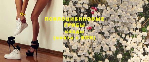 гашик Армянск