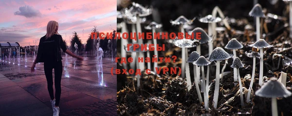гашик Армянск