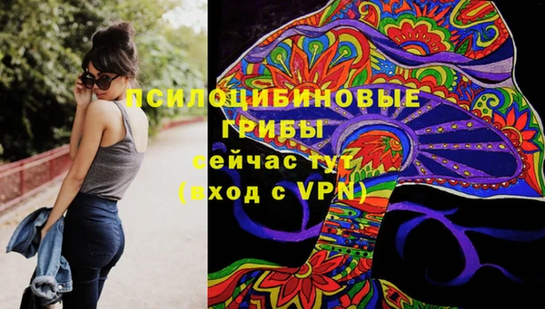 ALPHA-PVP Аркадак